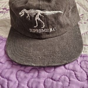 Supreme BC Panel Hat